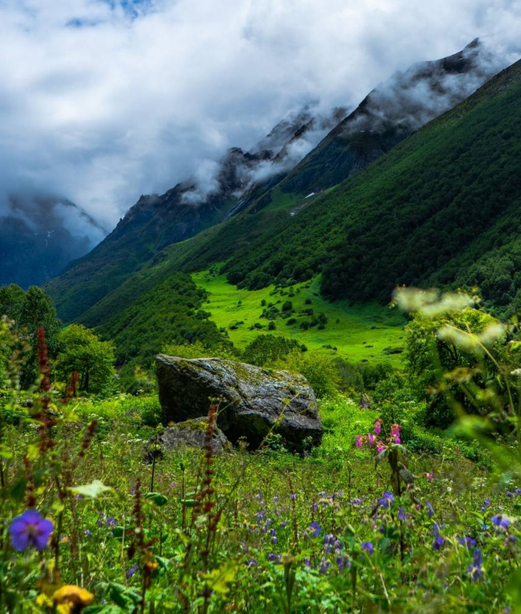 Valley Of Flower